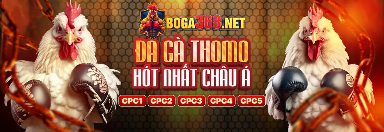 Đá Gà Trực Tuyến MCW678